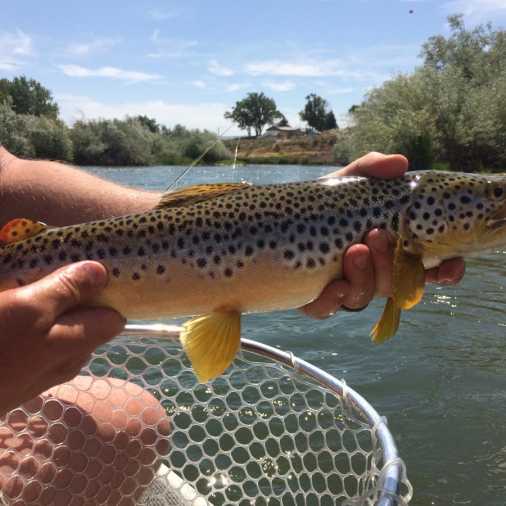 Fishing Vacations