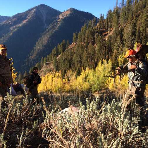 hunting trips in wyoming