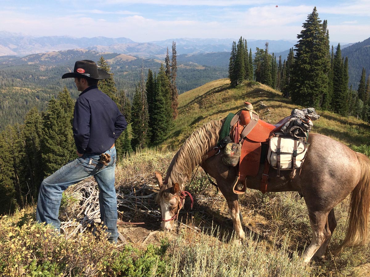 Guided Trips - Big Game hunting Big Game Hunting