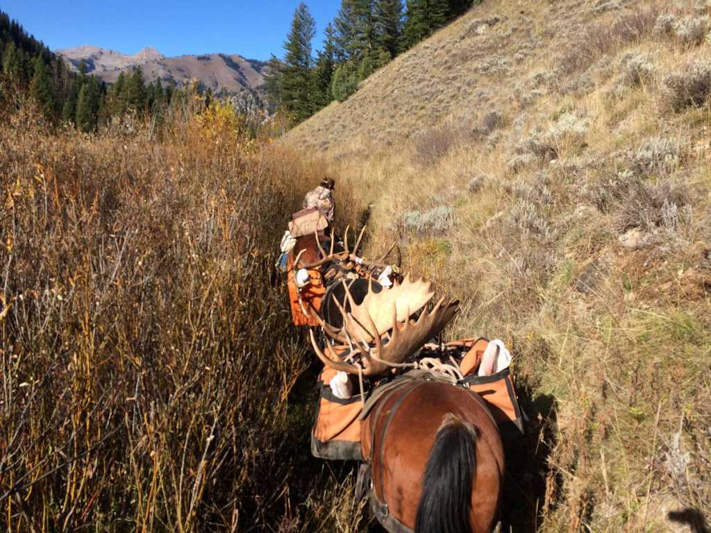 hunting trips in wyoming