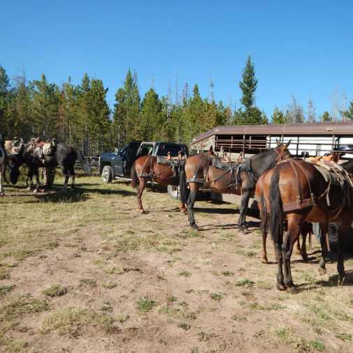 Horseback Riding Vacations