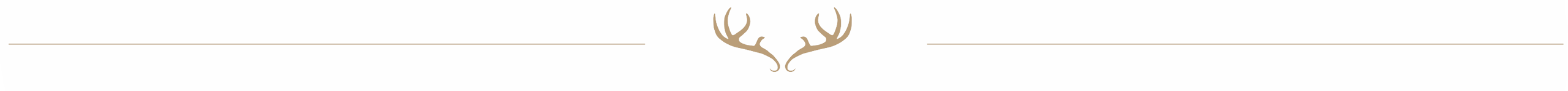 guided elk hunting trips in wyoming