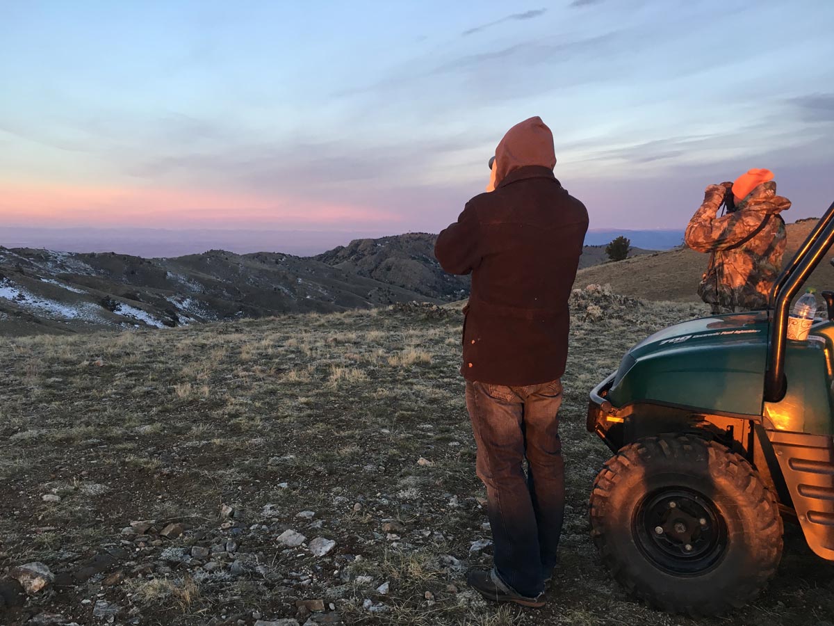 Guided Elk Hunting