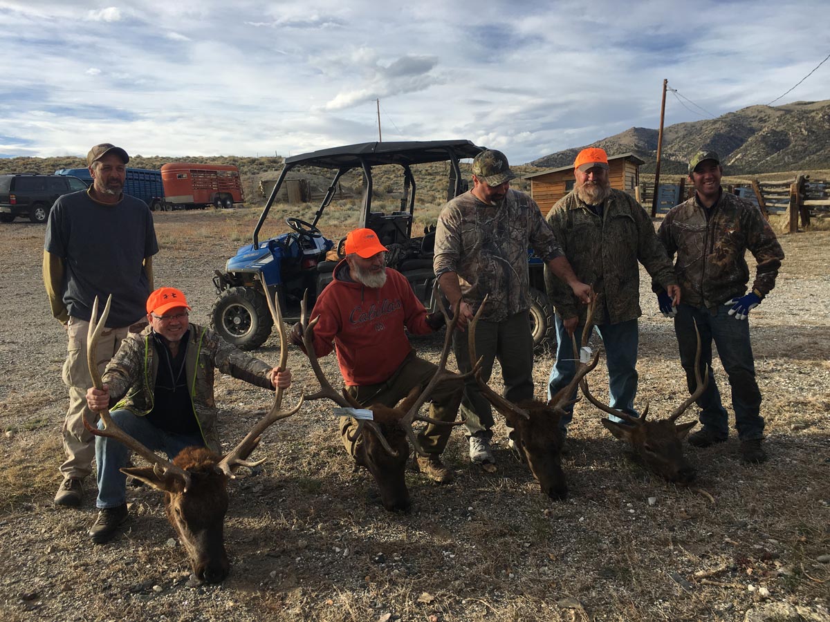 Guided Elk Hunting